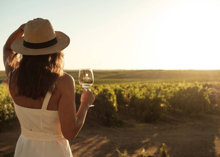 Vinícolas do Alentejo atraem amantes de vinhos e azeites – 20/12/2024 – Turismo