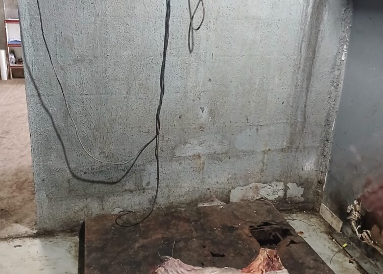 Mais de 90 quilos de carnes impróprias para o consumo são encontrados em supermercados de Maricá Mais de 90 quilos de carnes impróprias para o consumo são encontrados em supermercados de Maricá